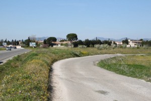 Carpentras